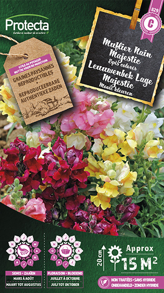 Leuuwenbek Lage Majestic nr. 829