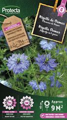 Juffertje in't groen Damas