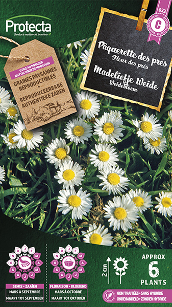 Madeliefje Weide nr. 833