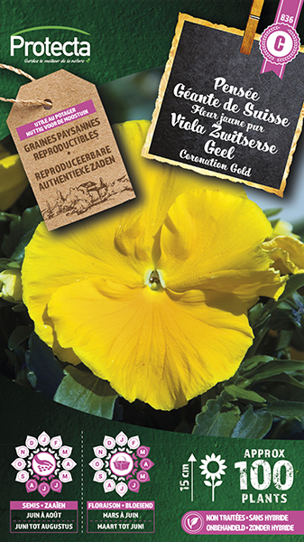 Viola Zwitserse Geel nr. 836