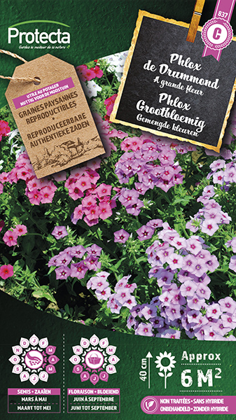 Phlox Grootbloemig nr. 837