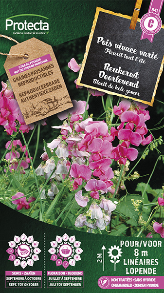 Reukerwt doorlevend gemengd nr. 841