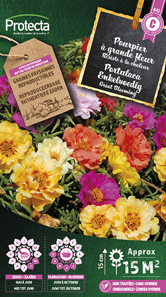Portulaca Grootbloeming gemengd nr. 842