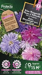 Aster Struisveder gemengd