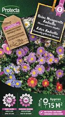 Aster Andrella gemengd
