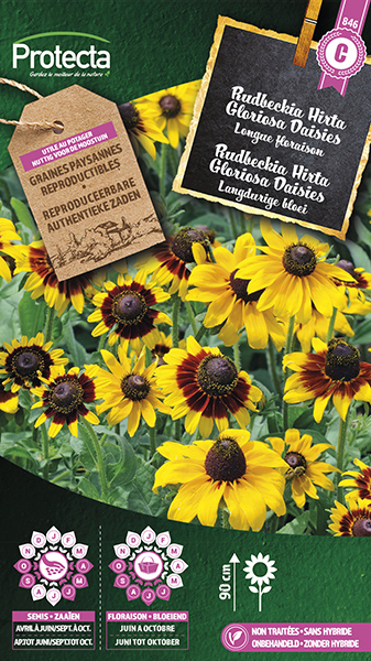 Rudbeckia Hirta Gloriosa Daisies nr. 846