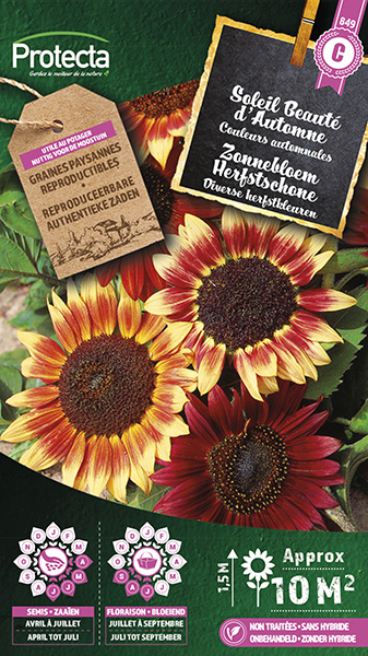 Zonnebloem Herfstschone nr. 849