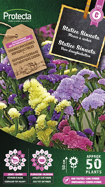 Statice Sinuata Gemengd nr. 850