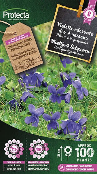 Viooltje 4 Seizoenen nr. 851