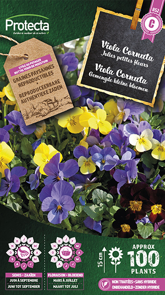 Viola Cornuta Gemengd nr. 852