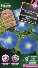 Klimmende Winde Grootbloeming Blauwe