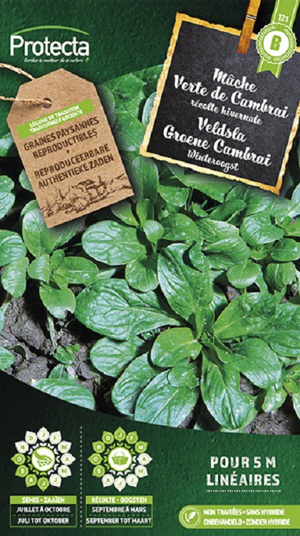 Veldsla Groene Cambrai nr. 121