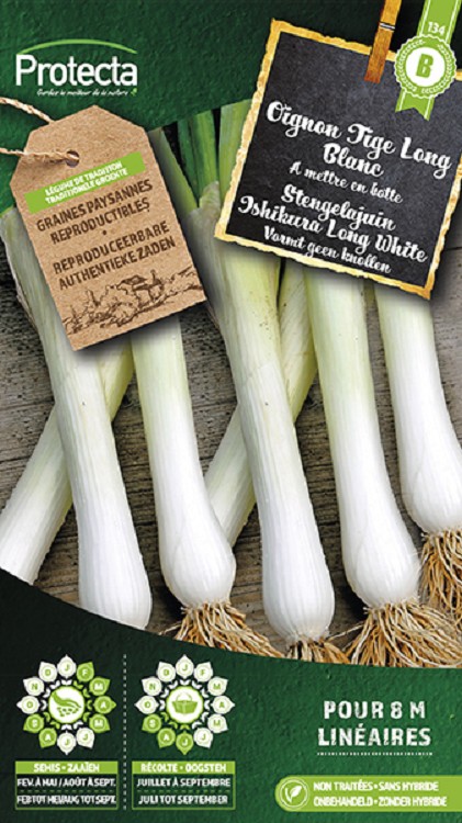 Stengelajuin Ishikura Long White nr. 134