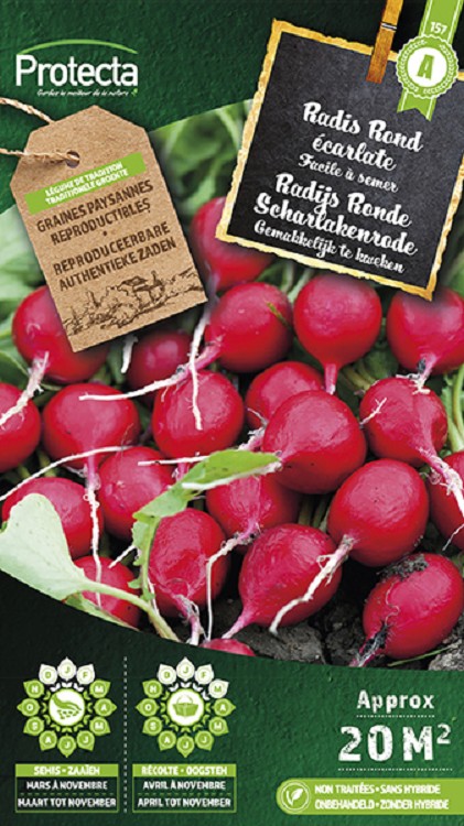 Radijs Ronde Scharlakenrode nr. 157