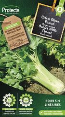 Bleekselder "Witte Pascal"