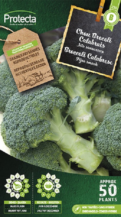 Broccoli Groene Calabrese nr. 230