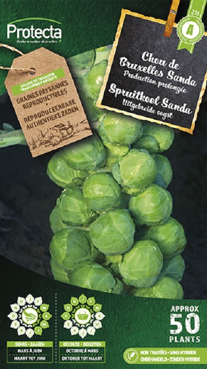Spruitkool Sanda nr. 231