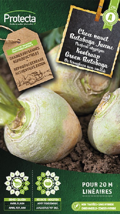 Koolraap Groen Rutabaga nr. 235