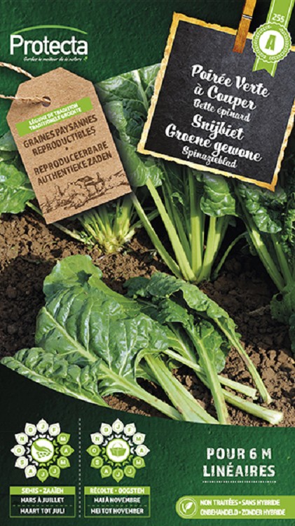 Snijbiet Groene gewone nr. 255