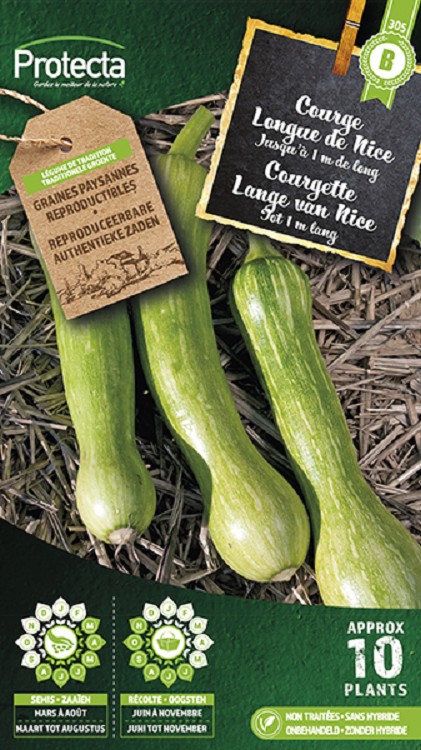 Courgette Lange van Nice nr. 305