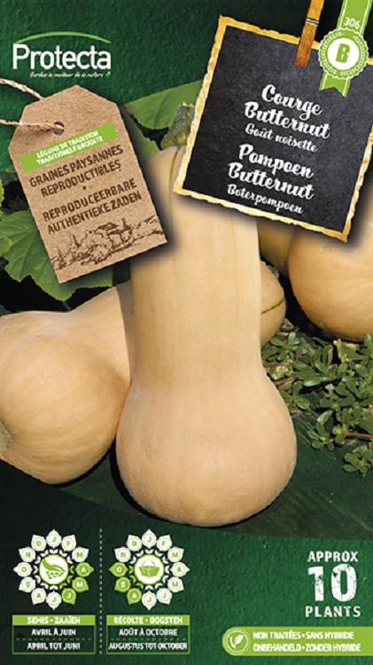 Pompoen Butternut nr. 306