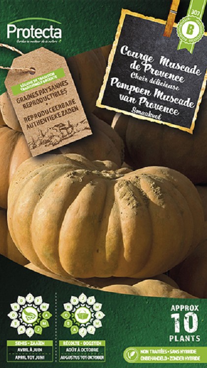 Pompoen" Muscade de Provence" nr. 307