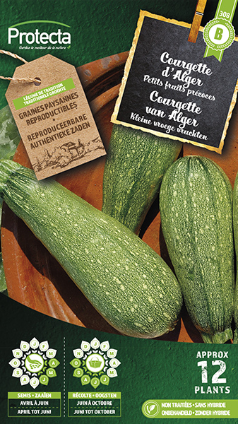 Courgette kleine groene van Alger nr. 308