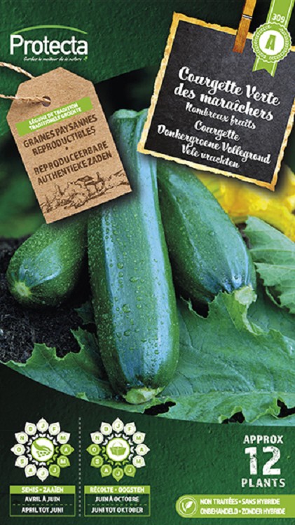 Courgette Donkergroene Vollegrond nr. 309