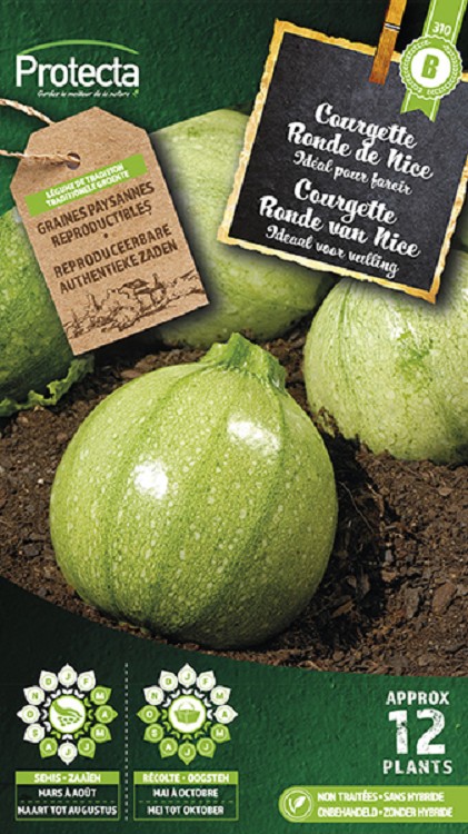 Courgette Ronde van Nice  nr. 310