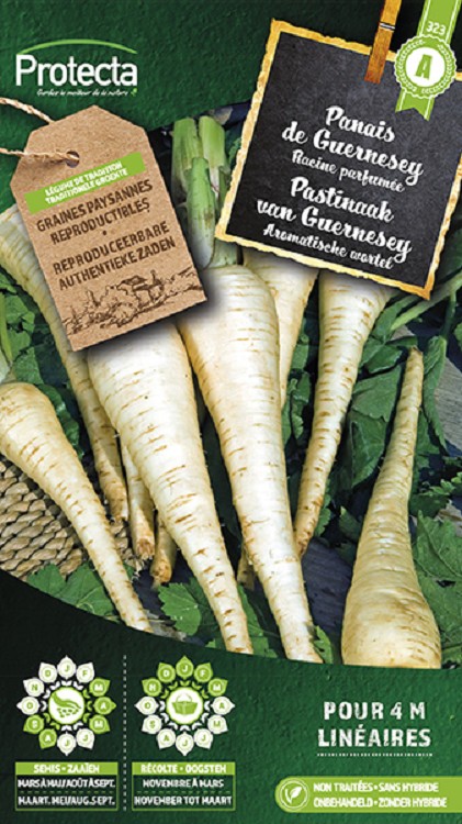 Pastinaak van Guernesey  nr. 323