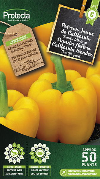 Paprika yellow California Wonder nr. 325