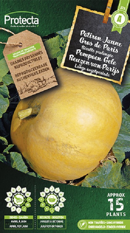 Pompoen Gele Reuzen van Parijs  nr. 328