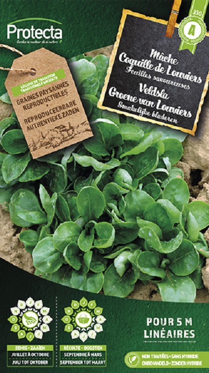 Veldsla Groene van Louviers nr. 330