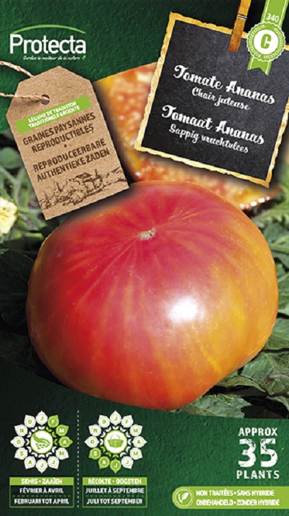 Tomaat Ananas nr. 340