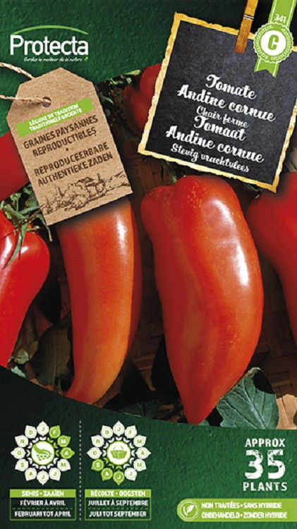Tomaat "Andine cornue" nr. 341