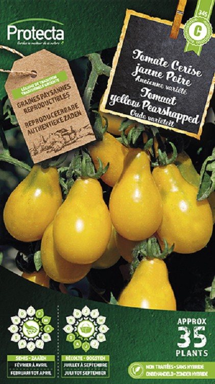 Tomaat  yellow Pearshapped nr. 345