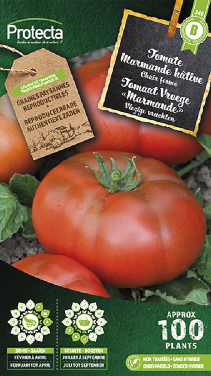 Tomaat Vroege "Marmande" nr. 348