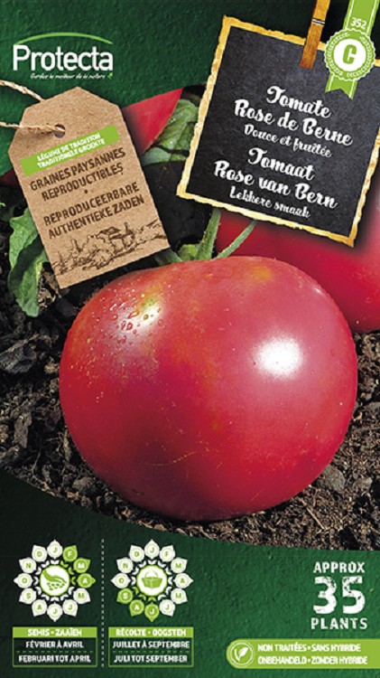Tomaat "rose de Bern" nr. 352