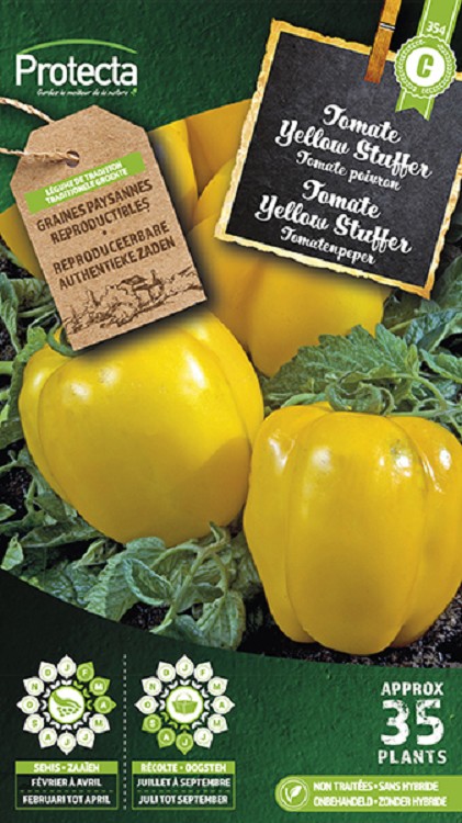 Tomaat Yellow Stuffer nr. 354