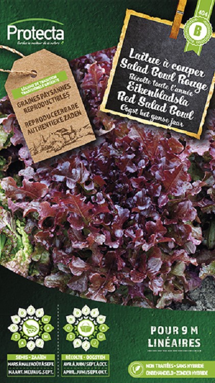 Eikenbladsla Rode Salad Bowl nr. 404