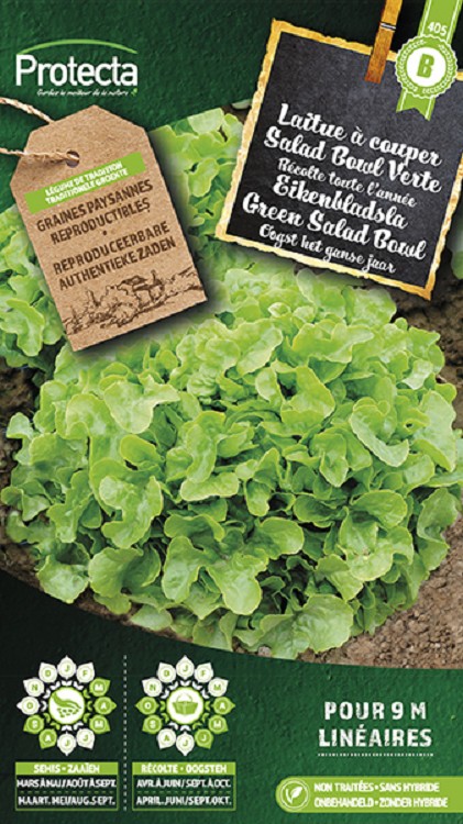 Eikenbladsla Groene Salad Bowl  nr. 405