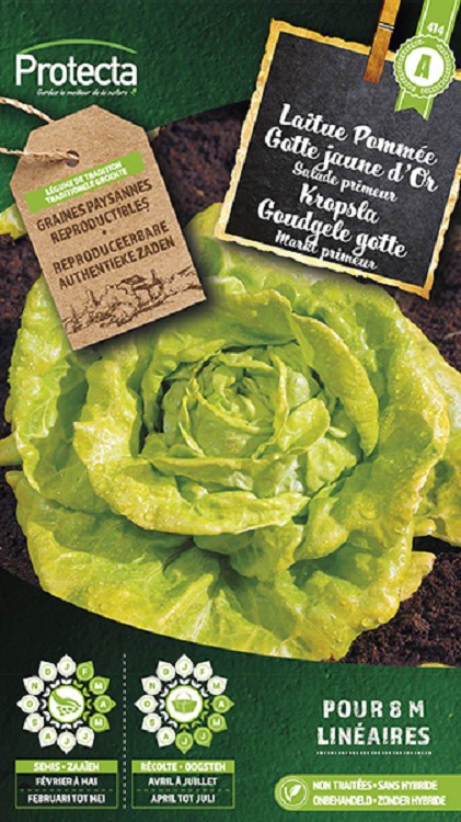 Kropsla Goudgele gotte  nr. 414