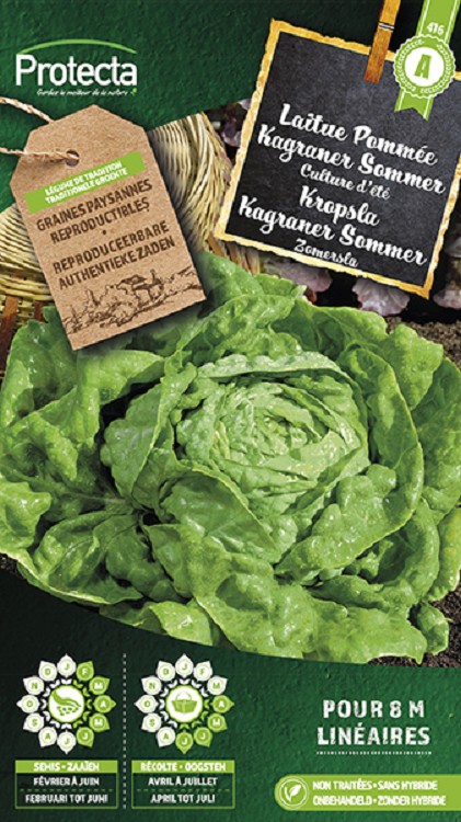 Kropsla Kagranner Sommer 2 nr. 416