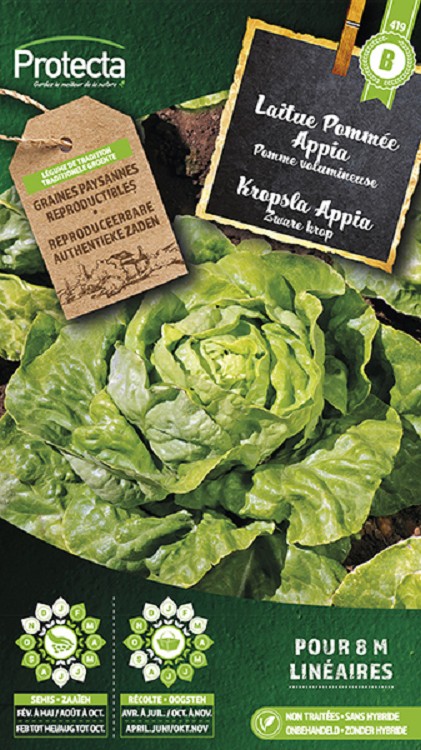 Kropsla Appia nr. 419