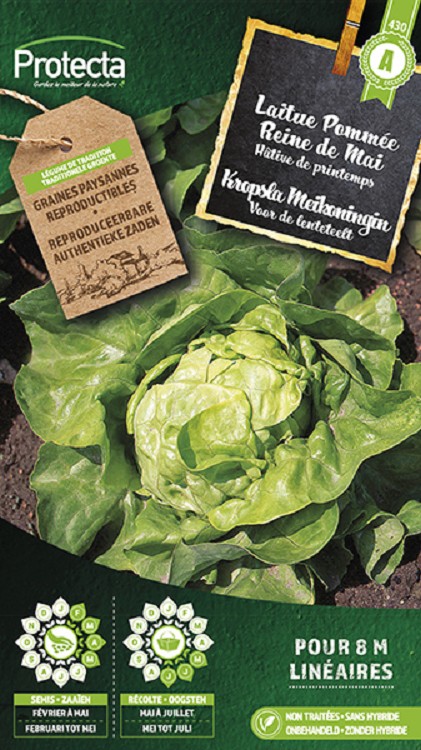 Kropsla Meikoningin nr. 430