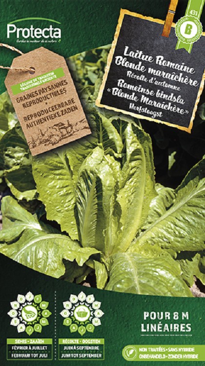 Romeinse bindsla "Blonde Maraichère" nr. 431
