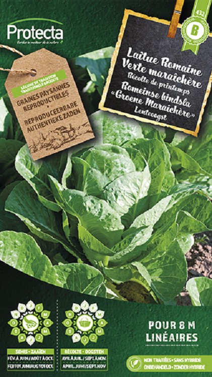 Romeinse bindsla "Groene Maraichère" nr. 432