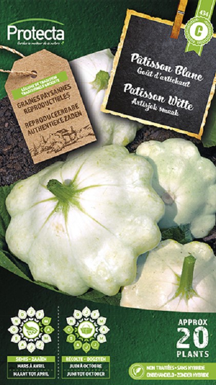 Patisson Witte nr. 434