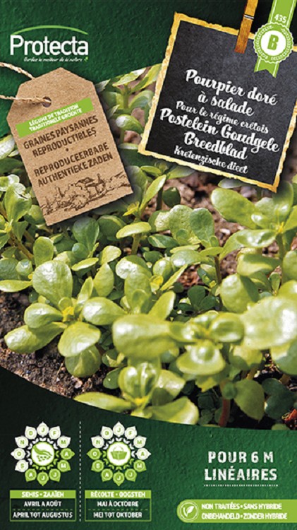 Postelein Goudgele Breedblad nr. 435