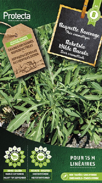 Raketsla Wilde Rucola  nr. 441